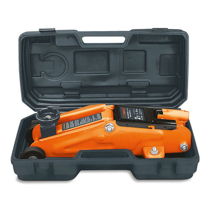 Gata tipo lagarto 2T