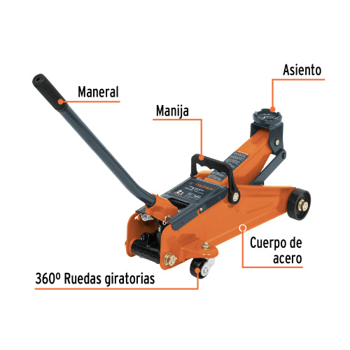 Gata tipo lagarto 2T