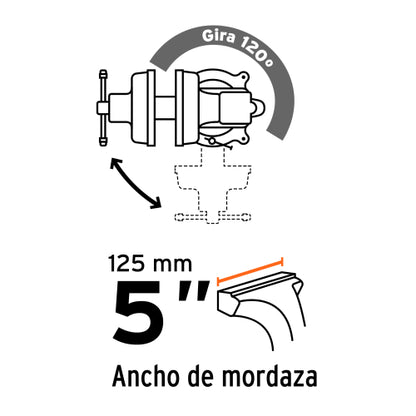 Tornillo de banco 5" tipo europeo de hierro nodular, Truper